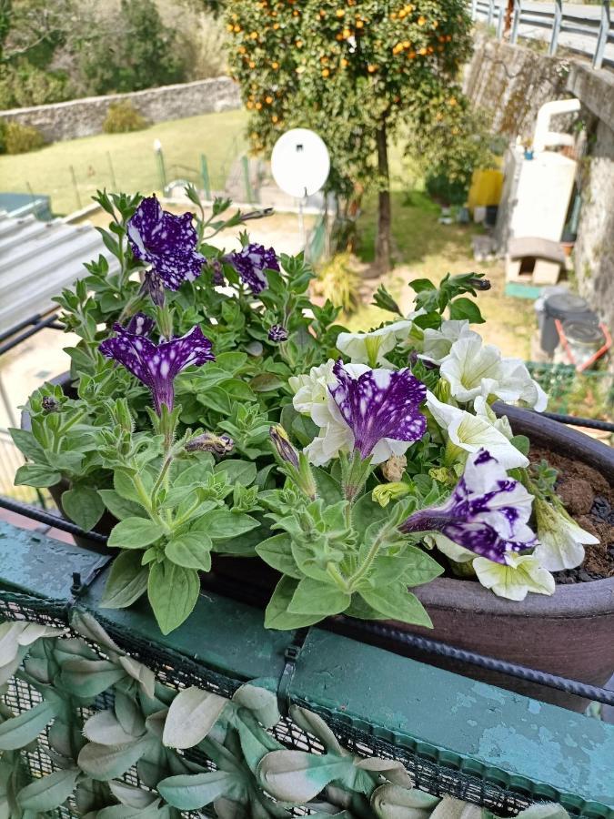 Da Ange E Bru Villa Сестри Леванте Екстериор снимка