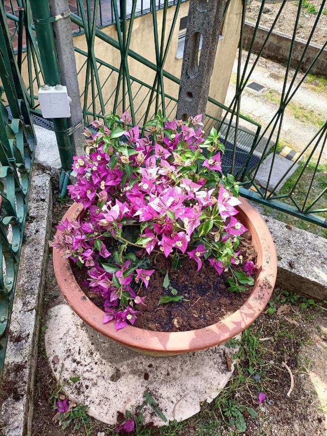 Da Ange E Bru Villa Сестри Леванте Екстериор снимка